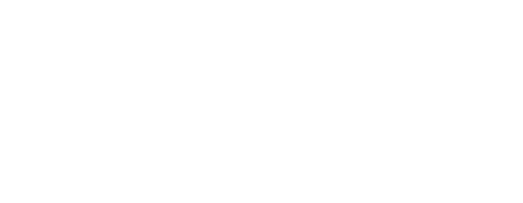 VAI VIDUS