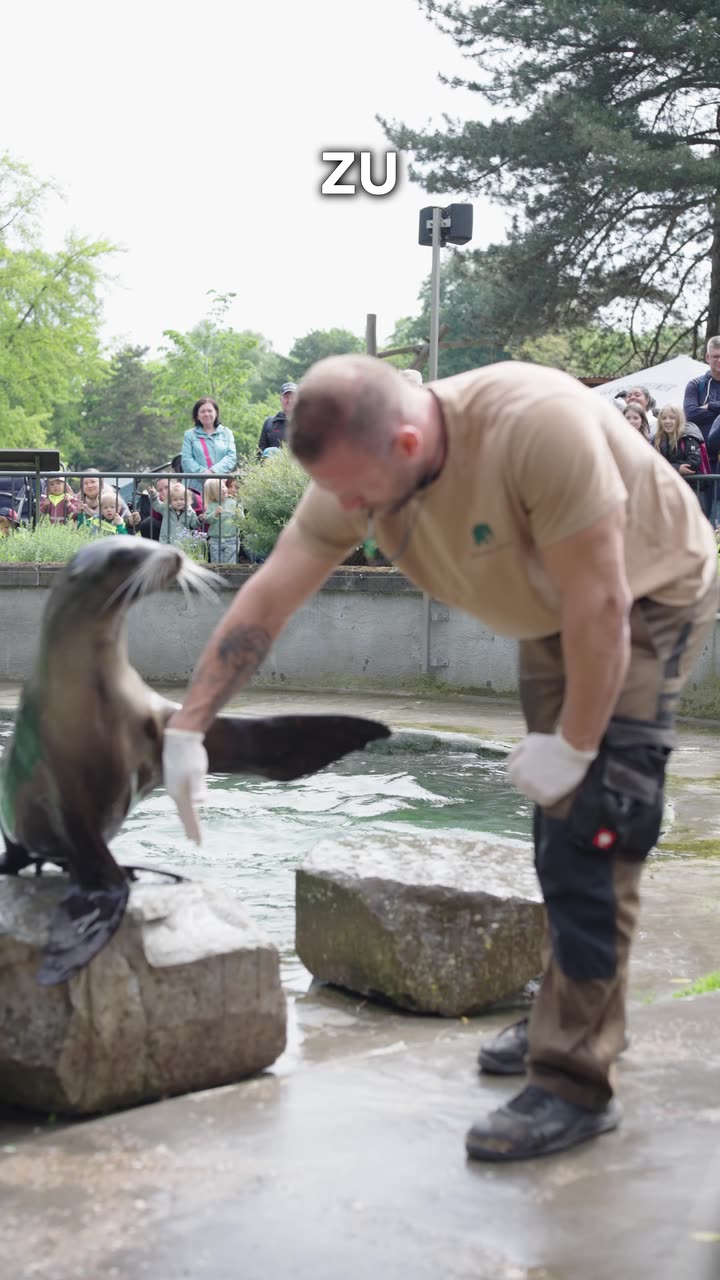 Reel für Kölner Zoo × MSC